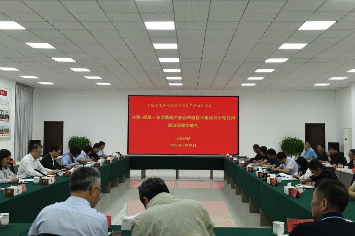图1 - 副本.jpg