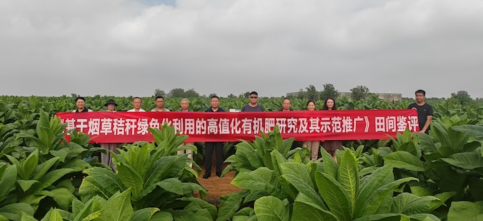 高值化有机肥研究及其示范推广1.jpg