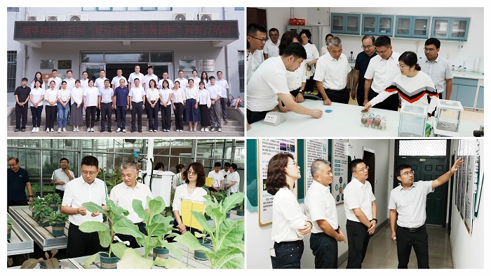 拼图(1) - 副本.jpg