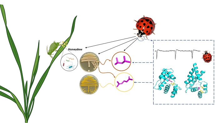 918fbac6d2121b26de83788587b9eeb3 - 副本.jpg