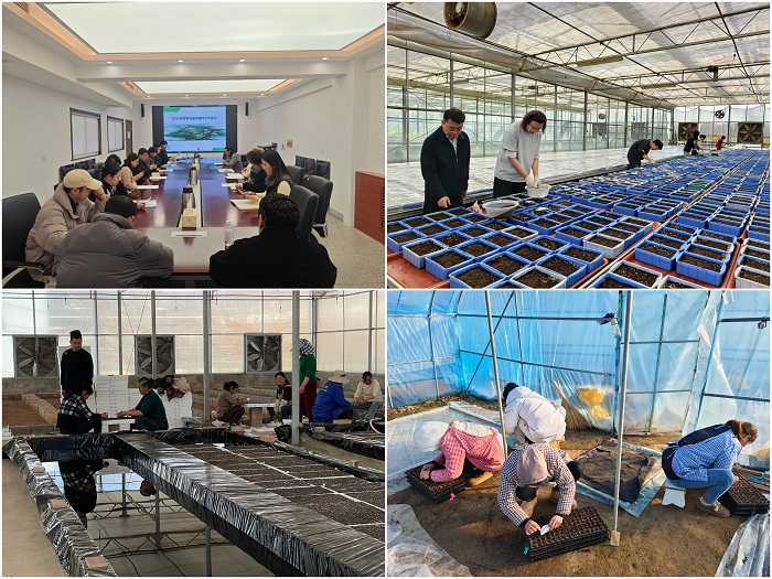 未命名 - 副本.jpg